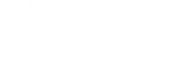Elin Engineering 